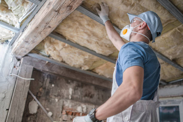 Best Insulation Installation Services in Shelbyvle, IL