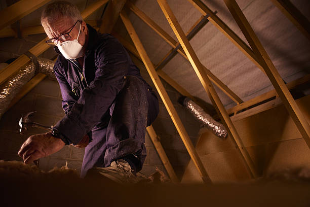 Best Commercial Insulation in Shelbyvle, IL