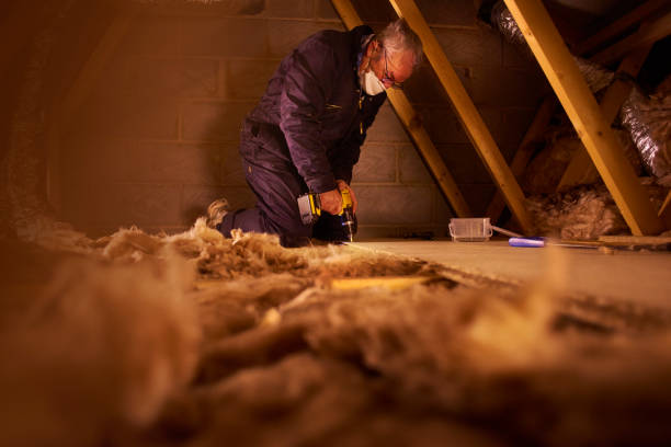 Best Residential Insulation in Shelbyvle, IL